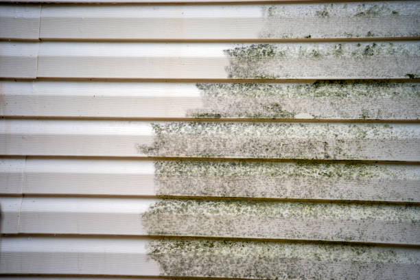 Affordable siding repair and maintenance services in Wildwood Crest, NJ